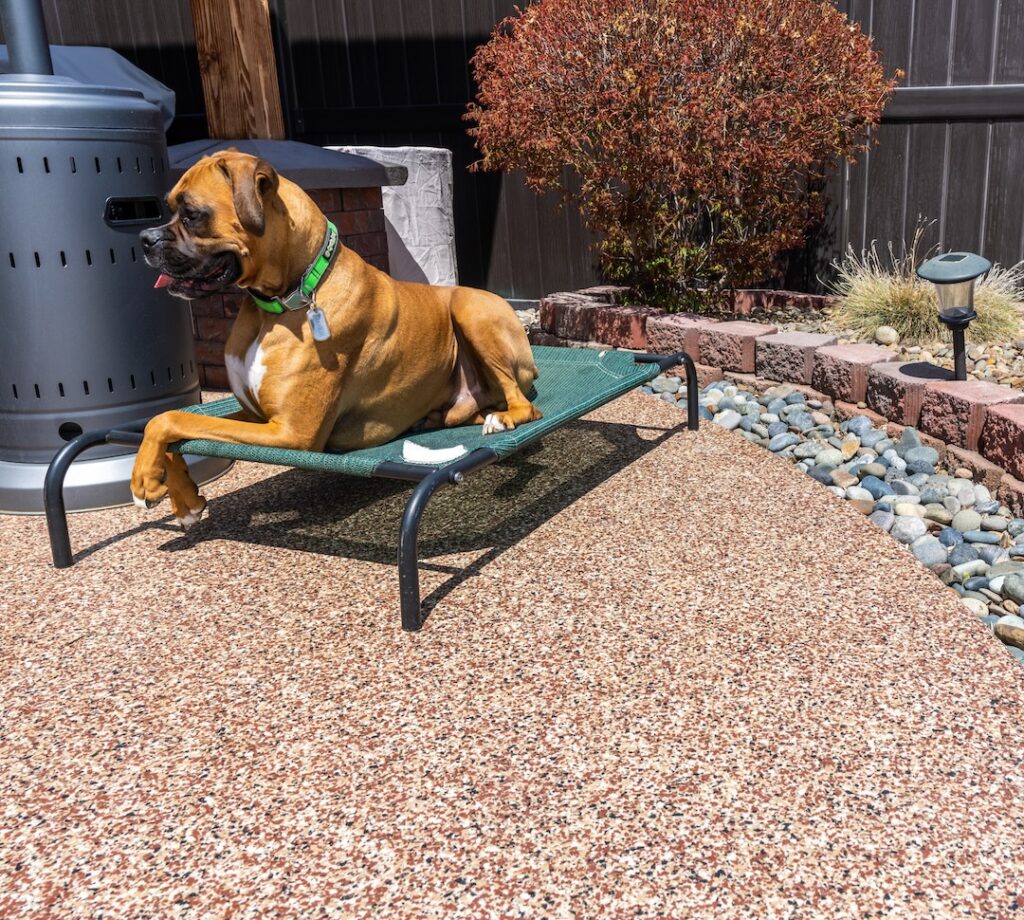 dog laying on cot on top of polyurea concrete coated patio